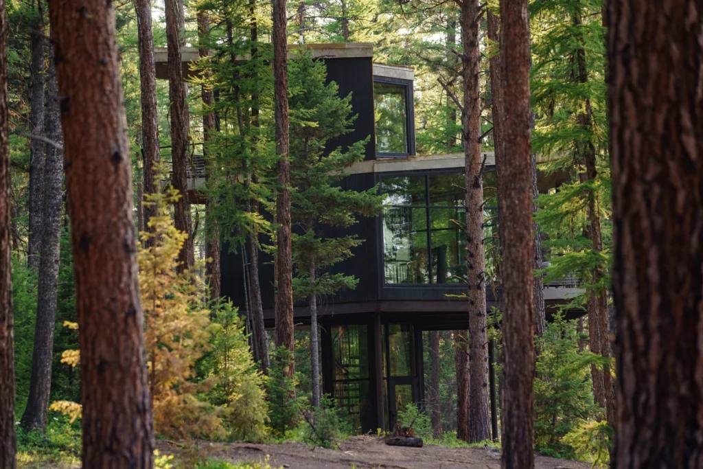 A Treehouse hotel can be a good escape from those boring hotels 